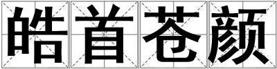 皓首苍颜