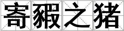 寄豭之猪