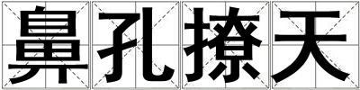 鼻孔撩天