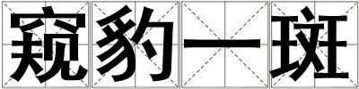 窥豹一斑