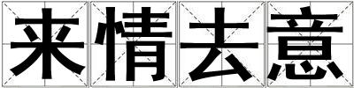 来情去意