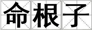 命根子
