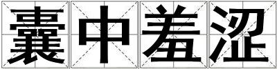 囊中羞涩