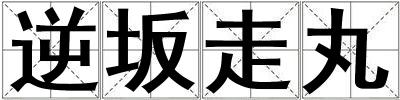 逆坂走丸