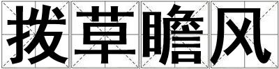 拨草瞻风