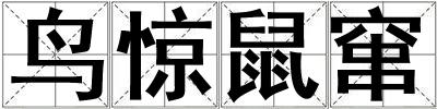 鸟惊鼠窜