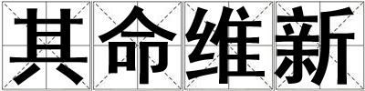 其命维新