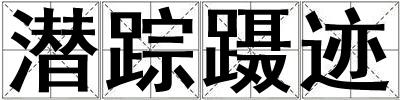 潜踪蹑迹