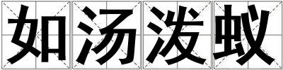 如汤泼蚁