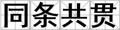 同条共贯