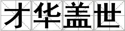 才华盖世