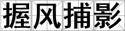 握风捕影