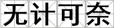 无计可奈