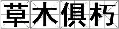 草木俱朽