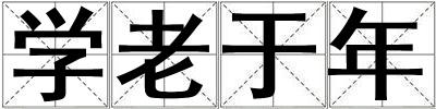 学老于年