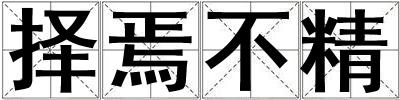 择焉不精