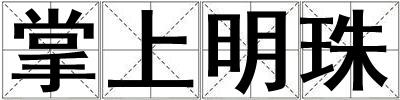 掌上明珠