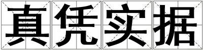 真凭实据