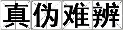 真伪难辨