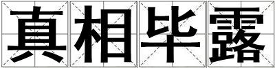 真相毕露