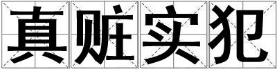 真赃实犯