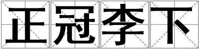 正冠李下