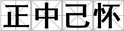 正中己怀