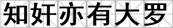 知奸亦有大罗