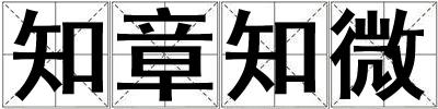 知章知微