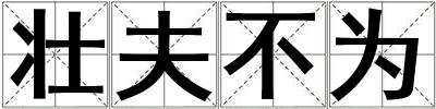 壮夫不为