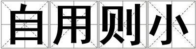 自用则小