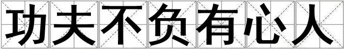 功夫不负有心人