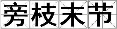 旁枝末节