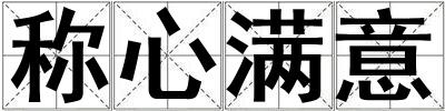 称心满意