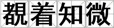覩着知微