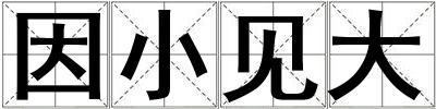 因小见大
