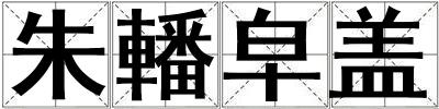 朱轓皁盖