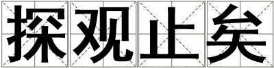 探观止矣