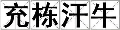 充栋汗牛