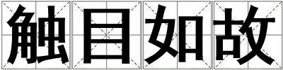 触目如故