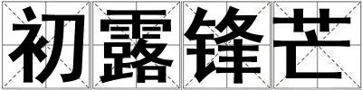 初露锋芒