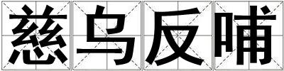 慈乌反哺