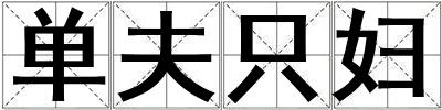 单夫只妇
