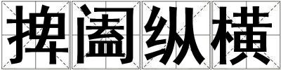 捭阖纵横