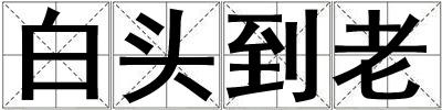 白头到老