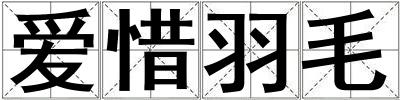 爱惜羽毛