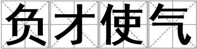负才使气